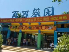 -百万葵园