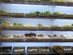 自助取餐区-袁记串串香(川师店)