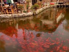 -竹泉村旅游度假区