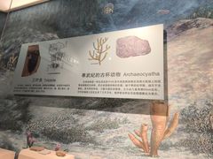 -辽宁古生物博物馆