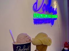 -Dooley's Premium Ice Cream