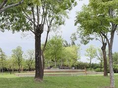 -北龙湖湿地公园