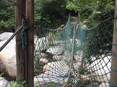 -东林大峡谷