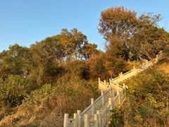 -上海市保健医疗中心