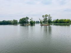 -长春北湖公园