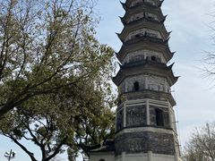 -苏州上方山国家森林公园