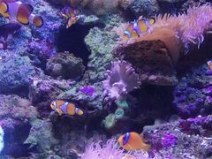 -成都浩海立方海洋公园