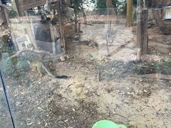 -灵玲国际马戏城