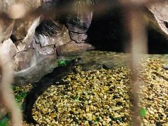 -苏州海洋馆
