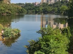-重庆彩云湖湿地公园