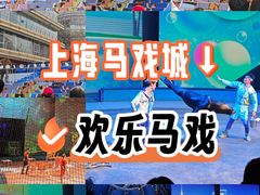 -上海马戏城