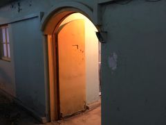 -ZING鲸鱼啤酒(葡萄院店)