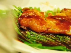 骏莱-骏莱海鲜鱼港(五角场店)