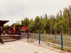 -西青郊野公园
