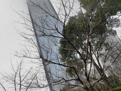 -东亚银行(上海分行)