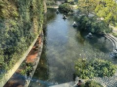 -春满园·早茶·粤菜·宴会(前海店)