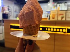-野人牧坊Gelato(天津南开大悦城店)