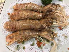 濑尿虾-寻味顺德·南记酒家·传统顺德菜·鱼生(广源路店)