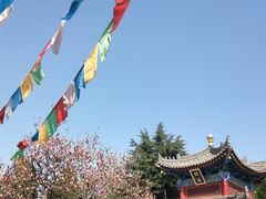 -西安市广仁寺