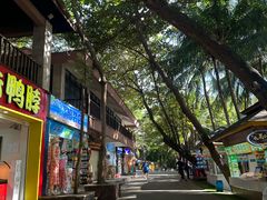 -海南分界洲岛旅游区