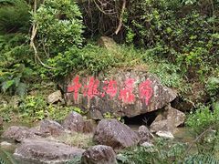 -千泷沟大瀑布旅游区