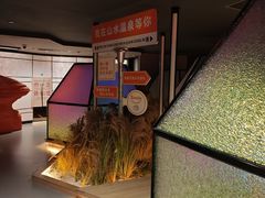 -山水温泉