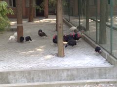 -南京金牛湖风景区