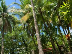 -三亚珠江南田温泉度假区