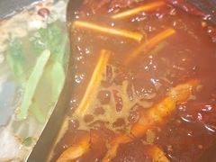 -阳阳老火锅(小南门店)