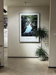 -杭州金夫人婚纱摄影(富阳私享店)