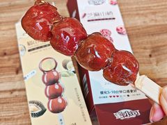 -长春堂顺时而饮(前门店)