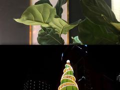 -木棉花开(中心城店)