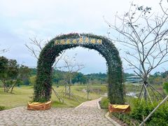 -梧桐山风景名胜区