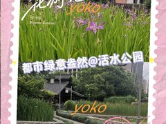 -活水公园