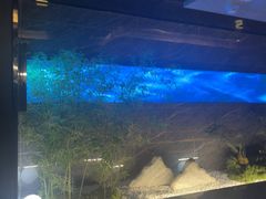 -华夏良子·足道·SPA·艾灸(金皇大厦店)