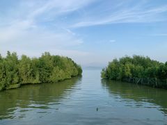-深圳湾公园(南山区)