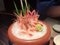 -山葵家·创意料理(EFC欧美广场店)