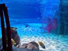 -沈阳海洋探索中心