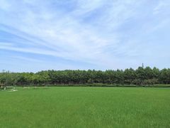 -宜兴龙背山森林公园