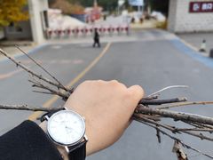 -青岩寺风景区