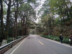 -铁山坪森林公园