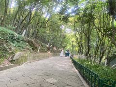 -峙山公园