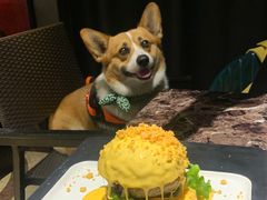 瀑布芝士牛肉汉堡-Let'sBURGERplus·非常创意汉堡(三里屯店)