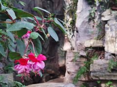 -国家植物园