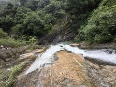 -广州白江湖森林公园