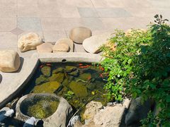 -天正河鲀·河豚亭(大连店)