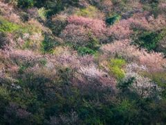 -南山风景名胜区