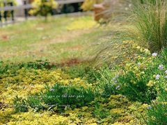 -郑州中国绿化博览园