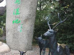 -溱湖国家湿地公园