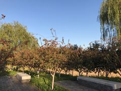 -永定河休闲森林公园